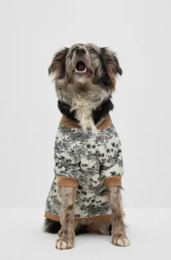 Hunde-Bomberjacke