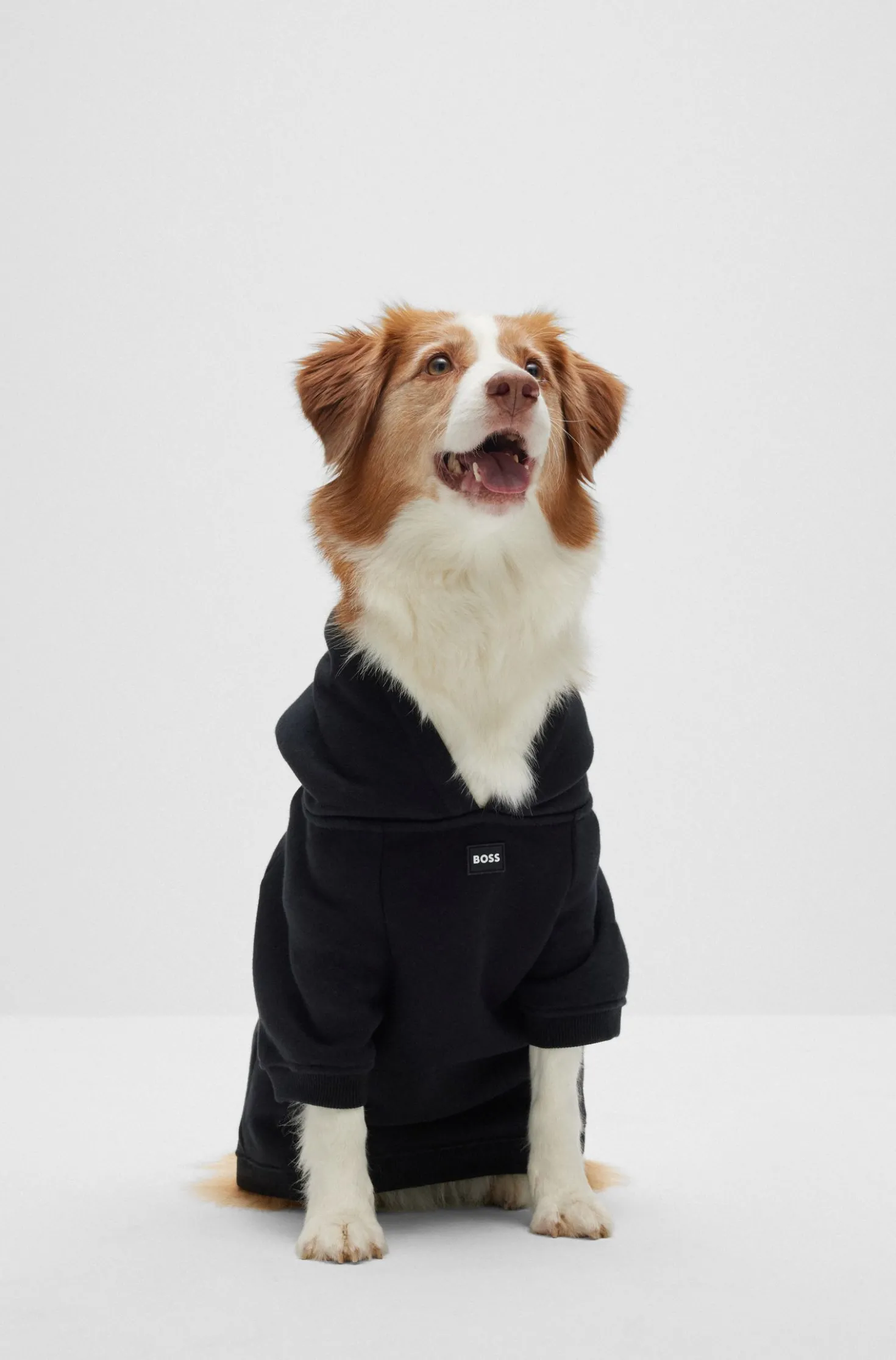 Hunde-Hoodie aus Baumwoll-Mix mit Kontrast-Logo